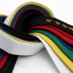 tae kwon do belts