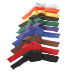 Martial Arts belts are a great way to teach goal setting skills