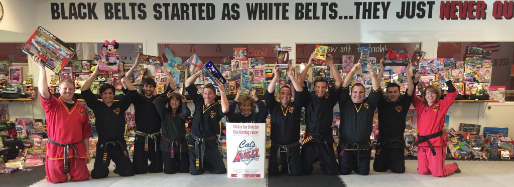 National Karate Instructors Toy Drive 2015 box