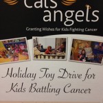 Cals Toy Drive Box
