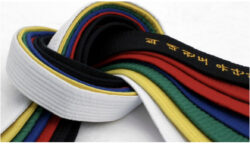 Karate Belts In Order