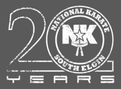 20 years of karate classes in South Elgin